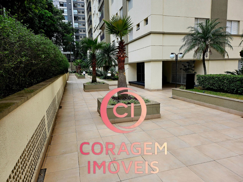 Rua das Palmeiras - Santo André/SP