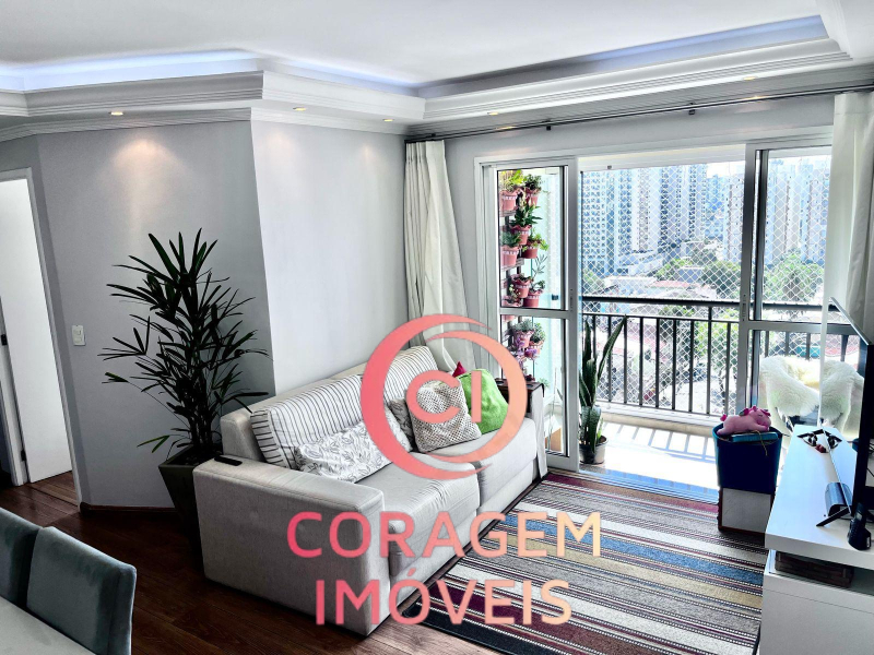 Rua das Palmeiras - Santo André/SP