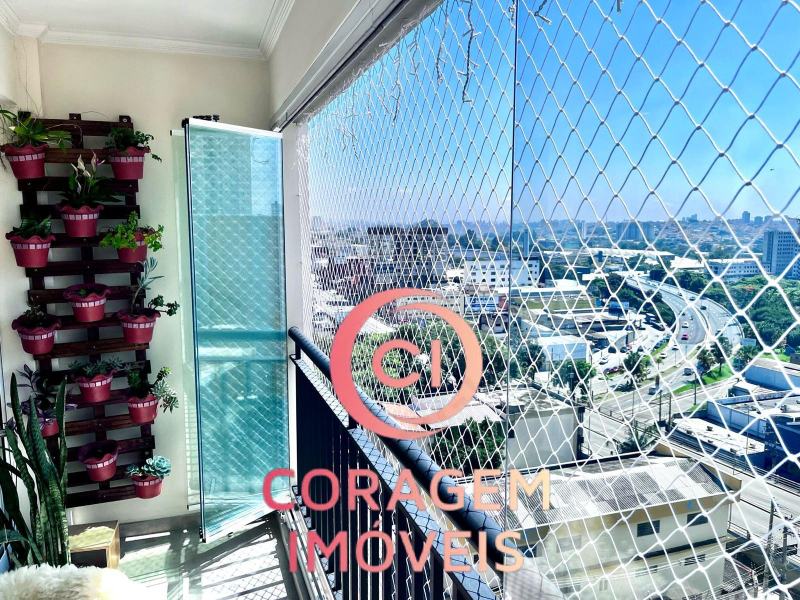 Rua das Palmeiras - Santo André/SP