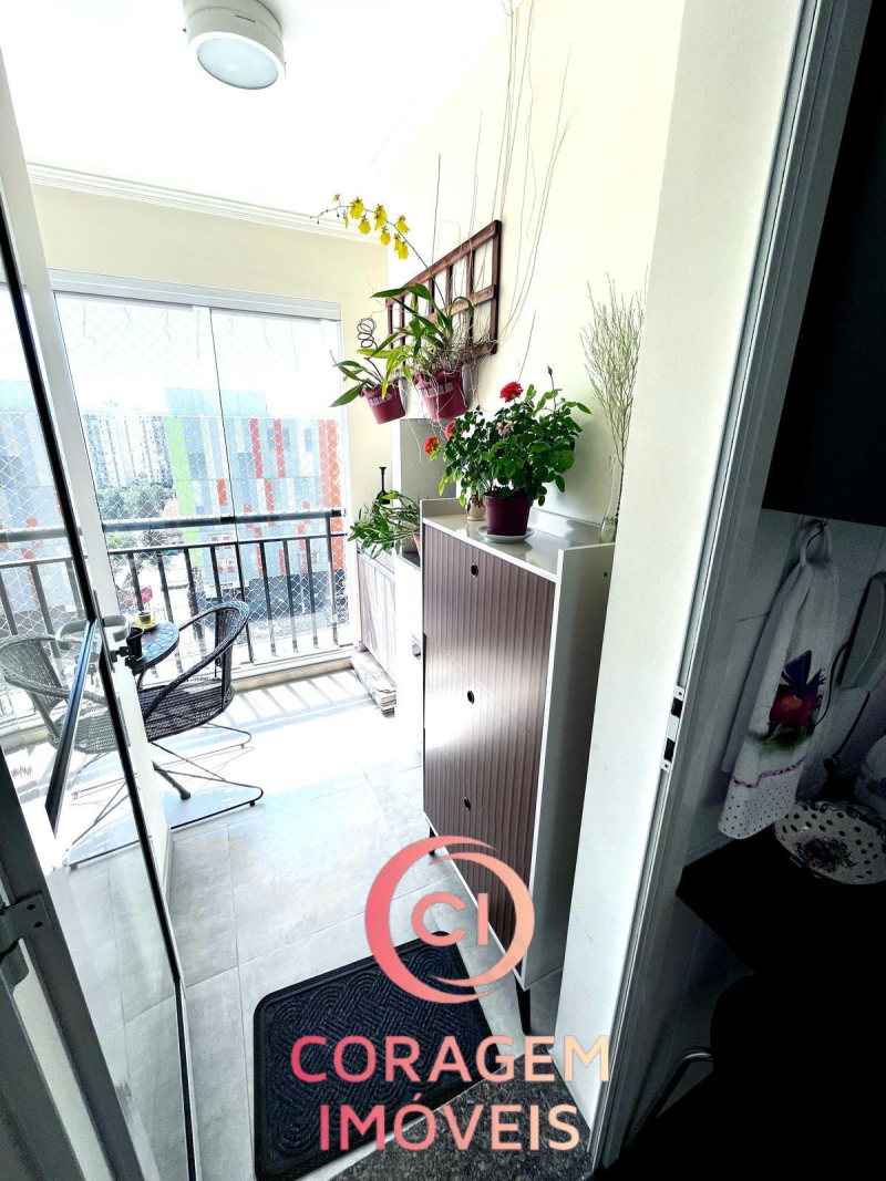 Rua das Palmeiras - Santo André/SP